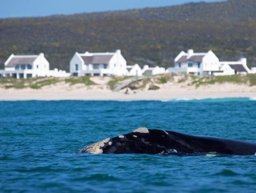 Zuidste Huisie Fisherman'S Cottage Struisbaai Exterior foto